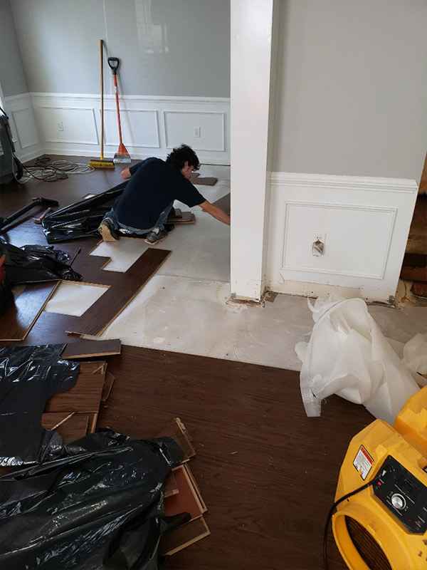 Mold Remediation Services in Canton, GA