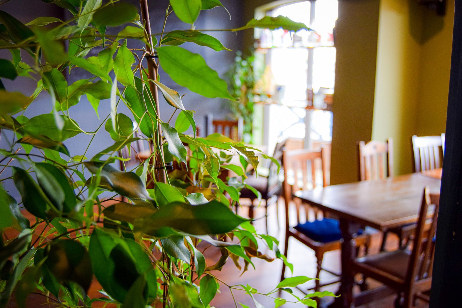 Plants and tables at The Point, in Exmouth.