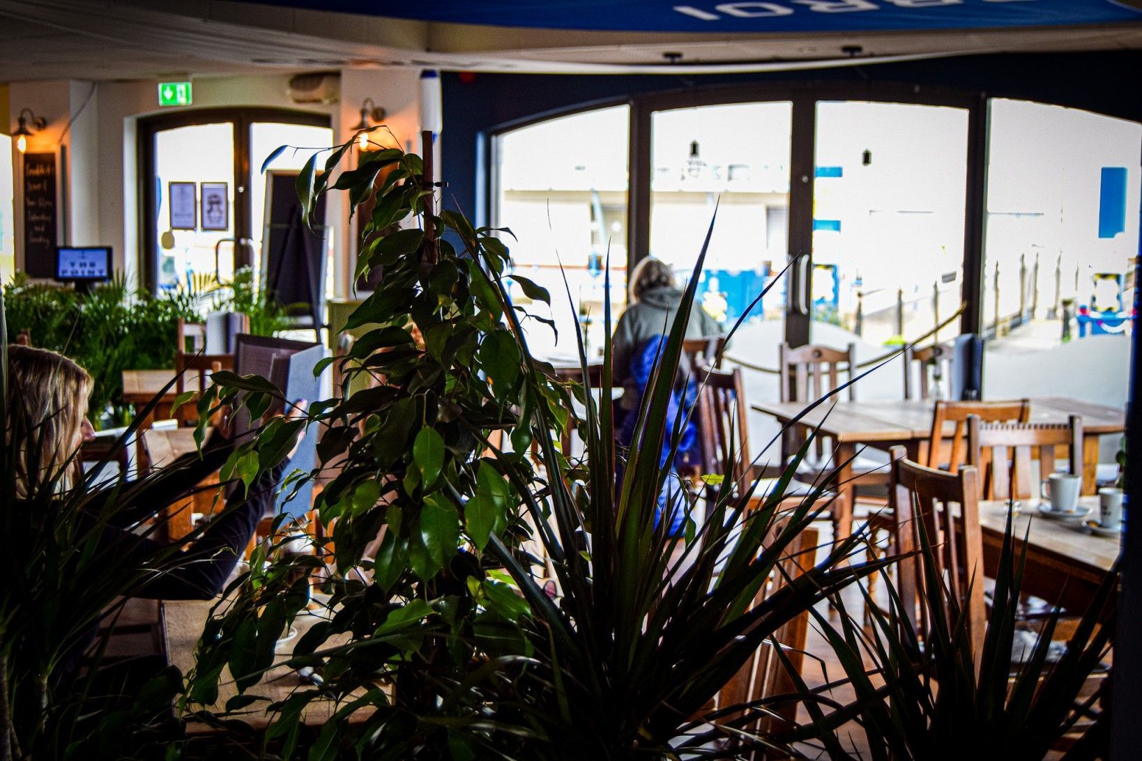 Plants and seating area in a casual dining restaurant.