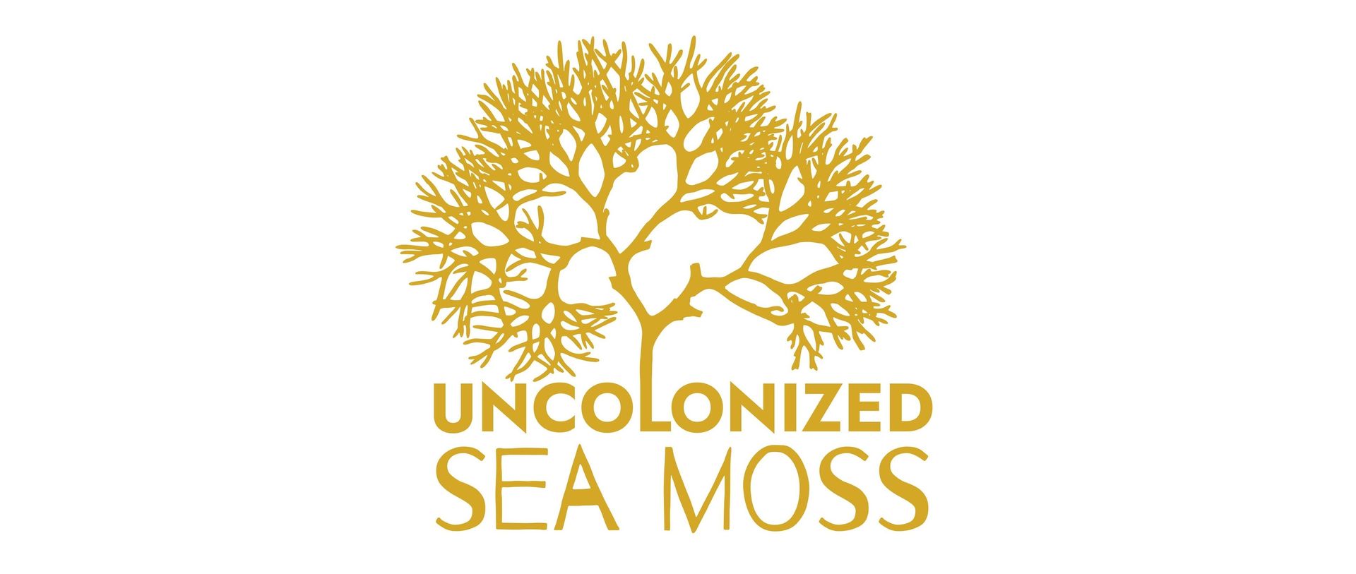 UNCOLONIZED SEA MOSS - AFROBIZWORLD.COM
