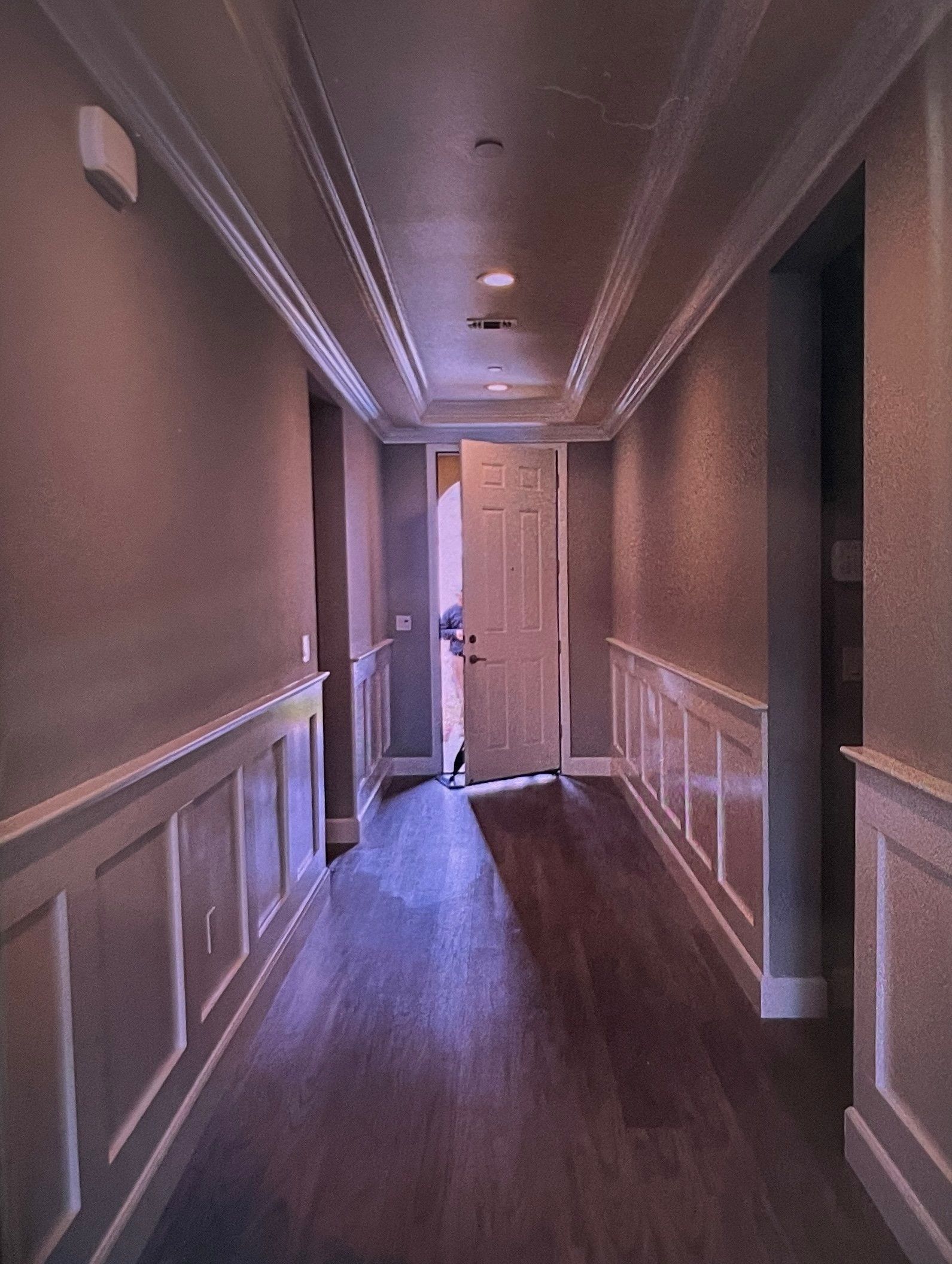 Hallway with wood floor, white trim, and a partially open door with a person visible.