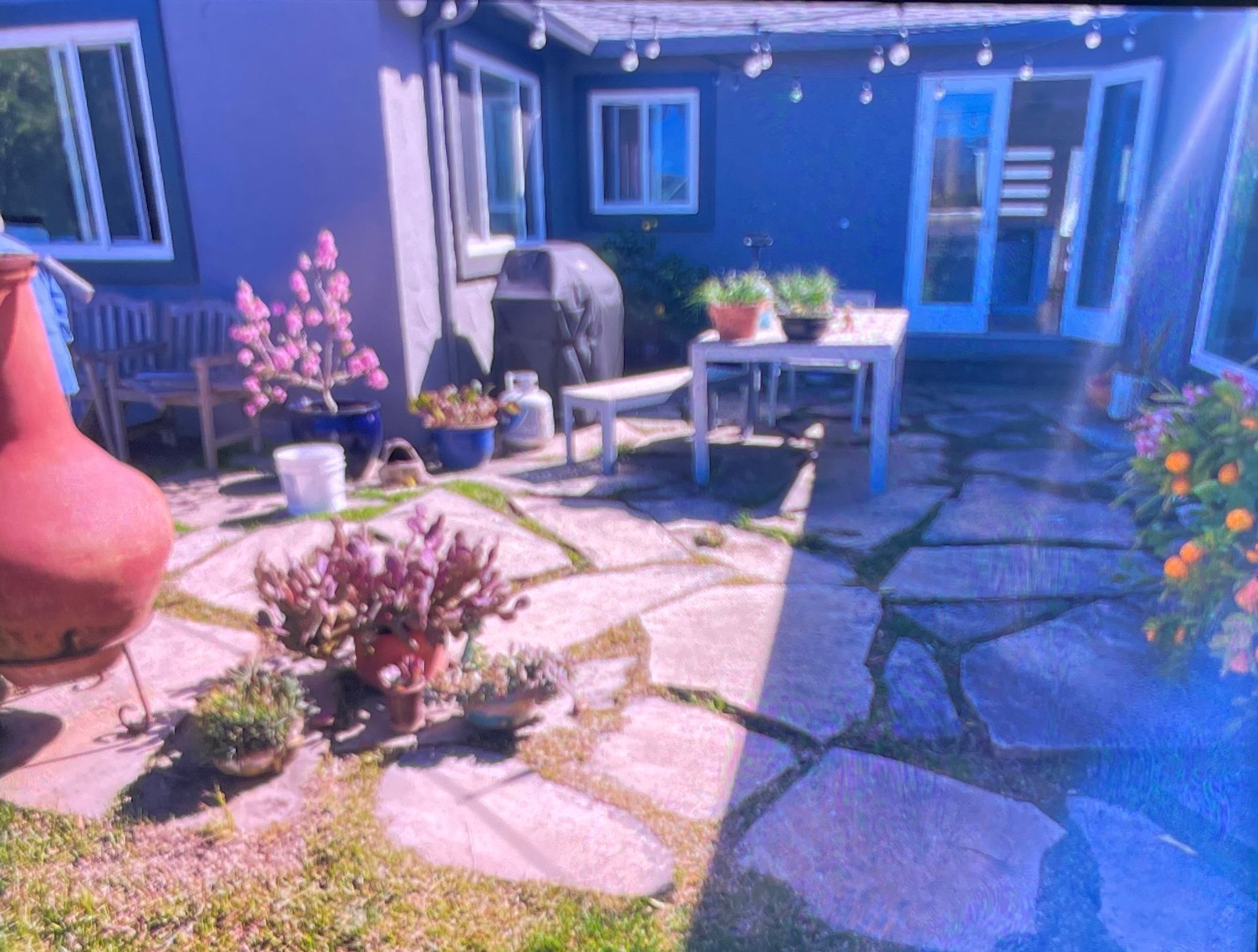 Patio with stone pavers, blue house, grill, white table, plants, and string lights.