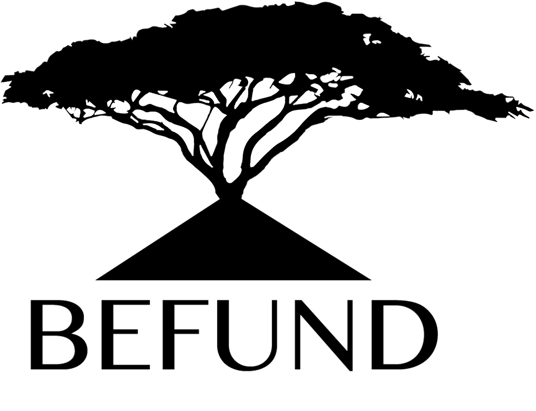 BEFUND - Blaec Elite Funding