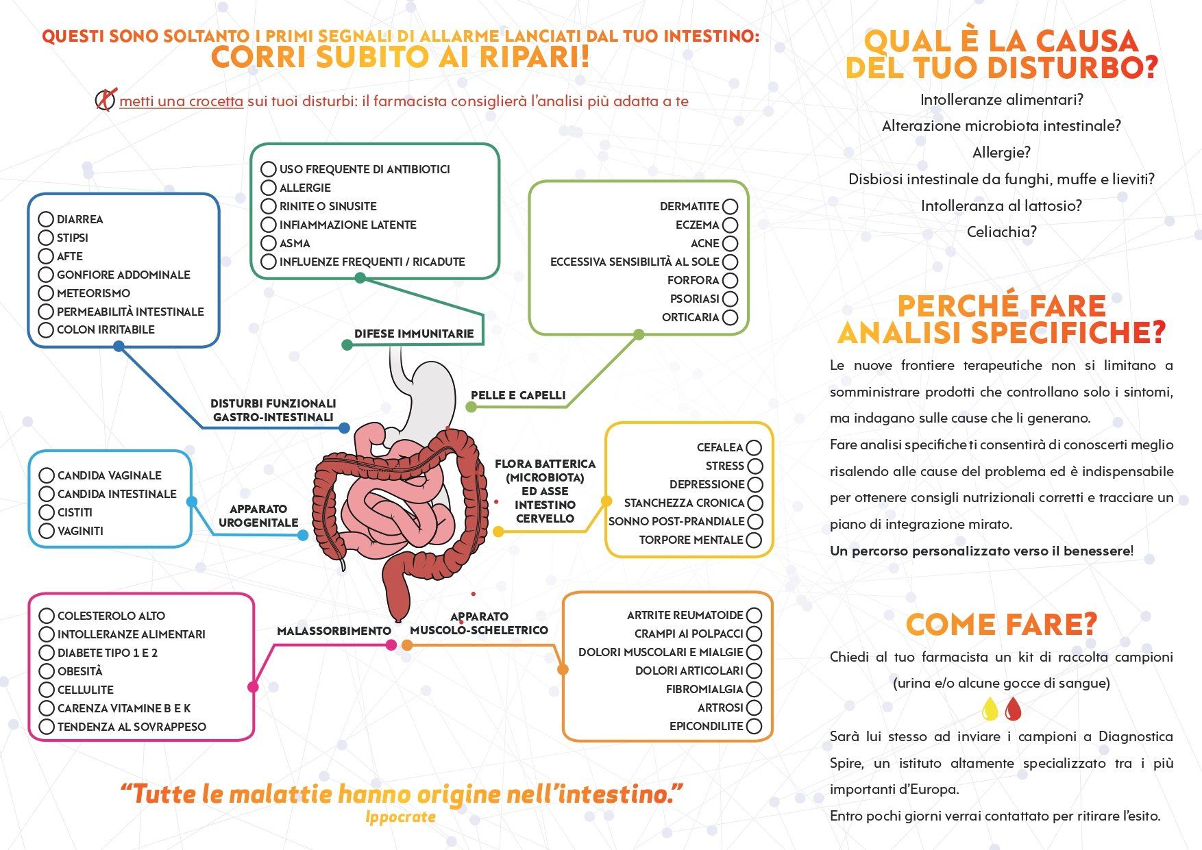 test intolleranze alimentari brochure