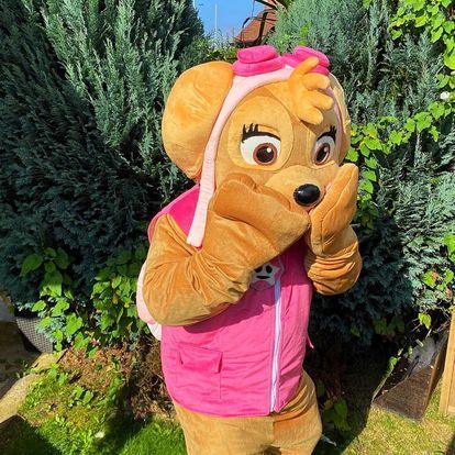a mascot dressed as skye from paw patrol is standing in the grass .