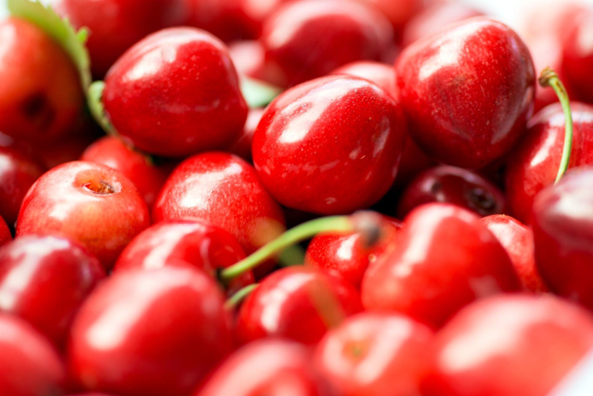 Tart cherries and tart cherry juice known for supporting inflammation relief, better sleep, and gout