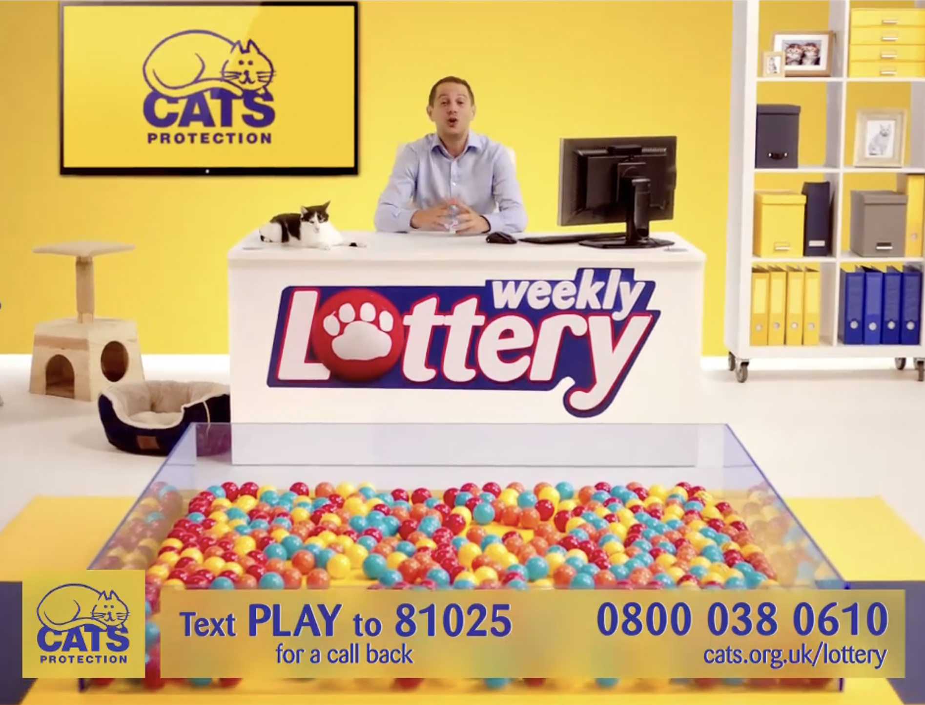 Cats Lottery draw