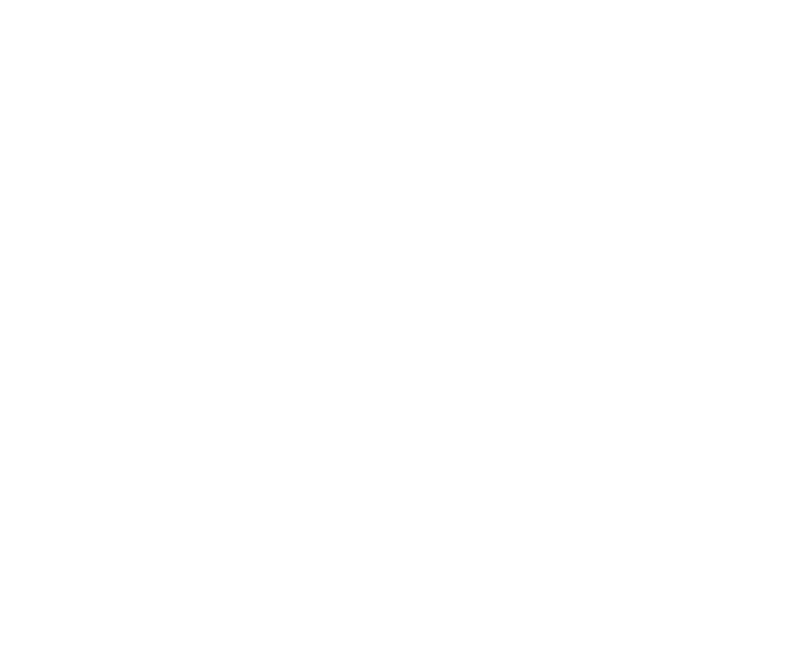 Shelter logo