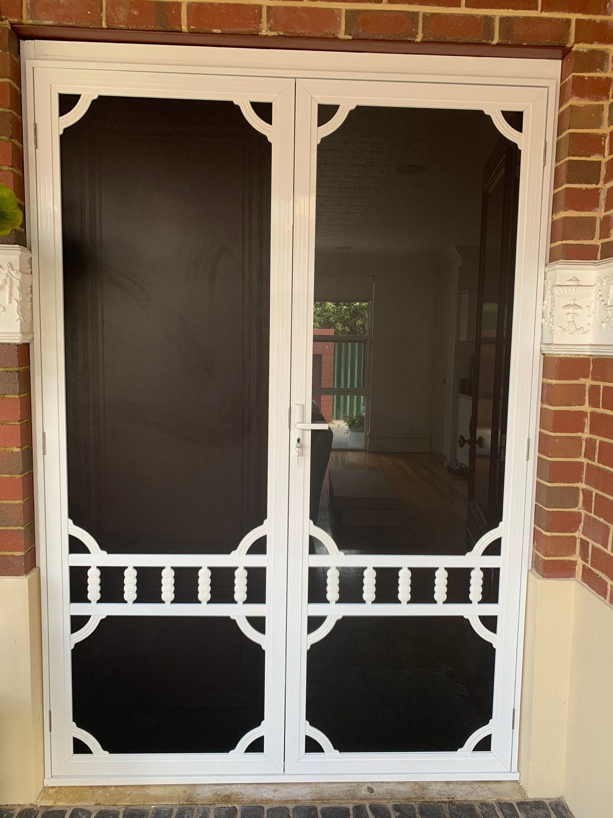 Decorative Cast Aluminium CG12 with PROMESH316 Door
