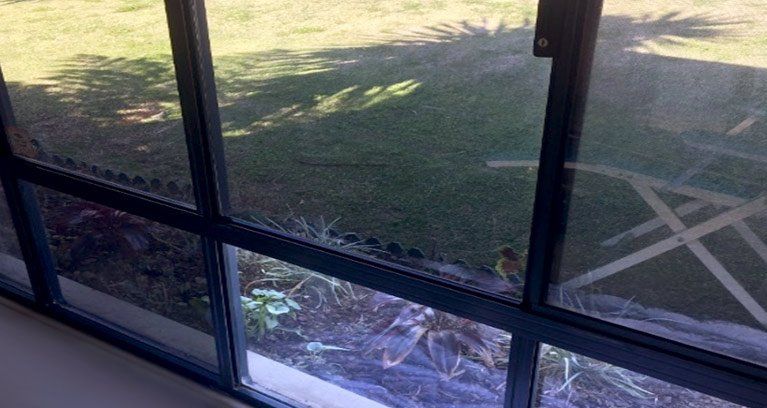 ProFilm Security Film