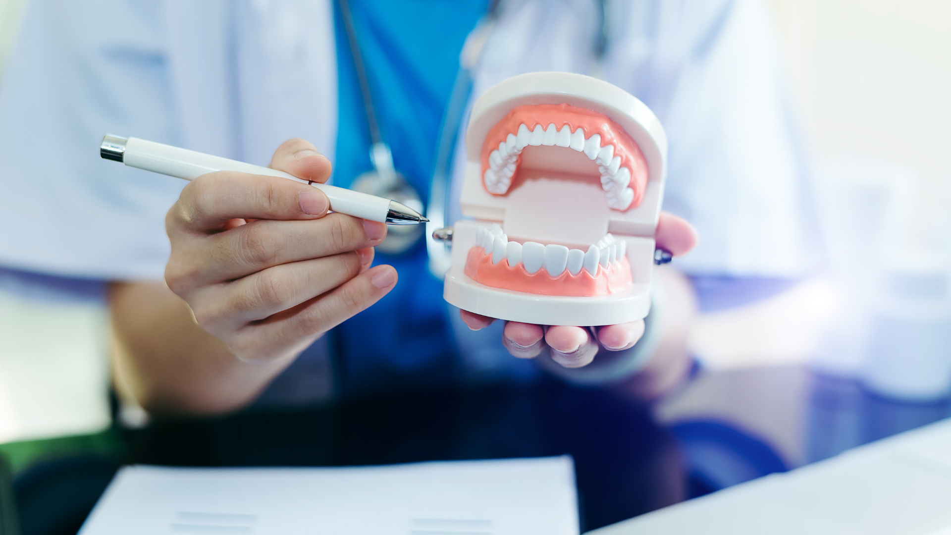 a dentist is holding a model of teeth and a pen .