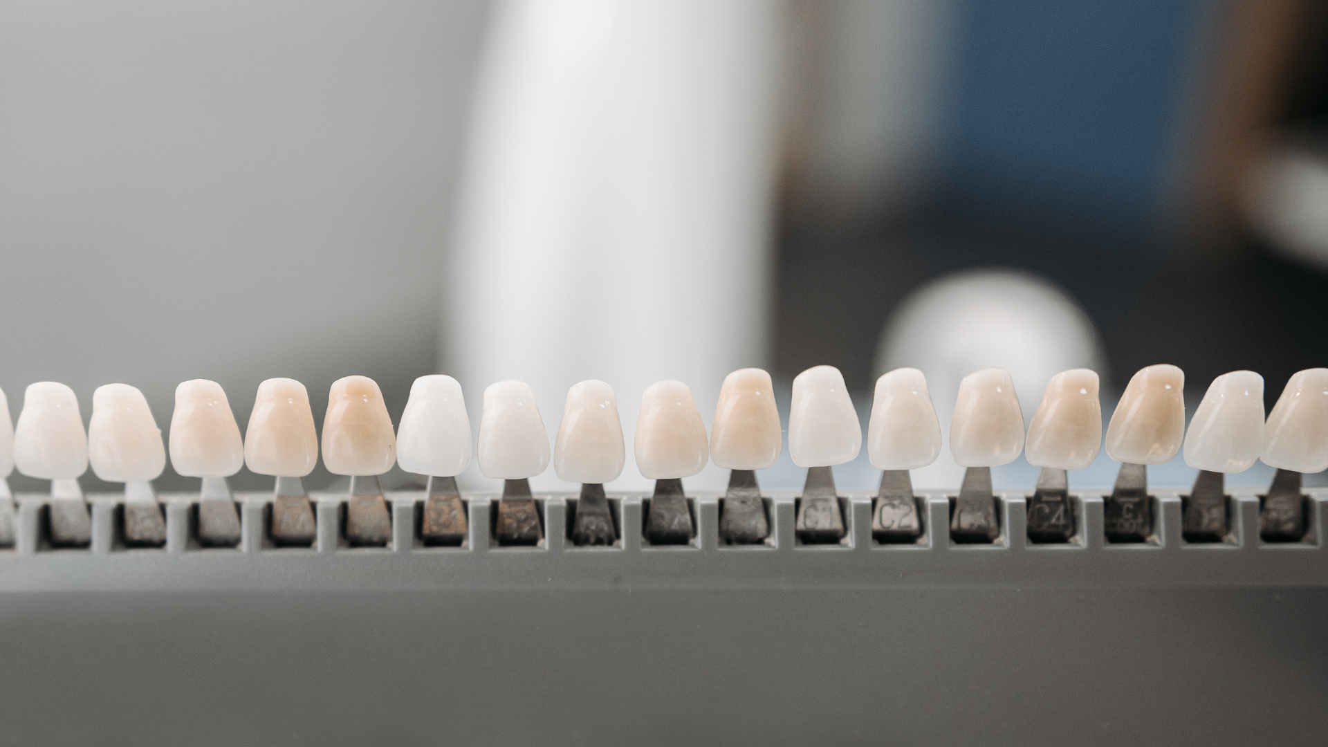 A row of teeth are lined up in a row on a table.