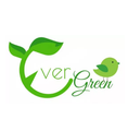 Evergreen Carpet & Upholstery Cleaning