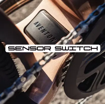 Close-up of a metallic sensor switch with chain and wheel components, labeled “SENSOR SWITCH”