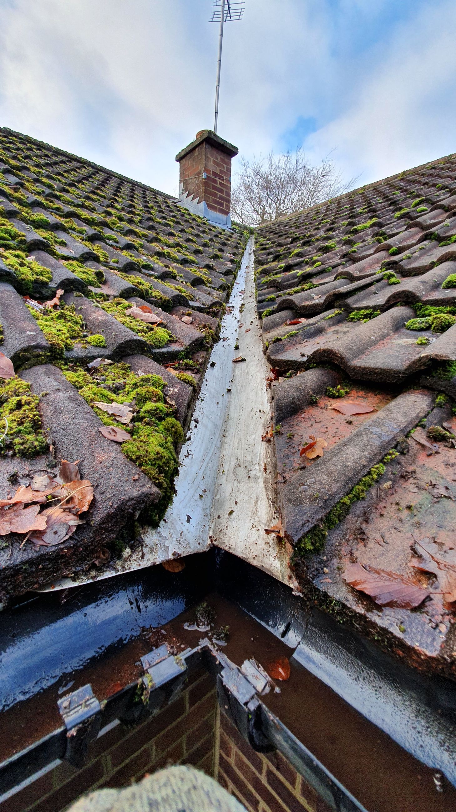 A close up of a gutter on a roof with moss on it.
