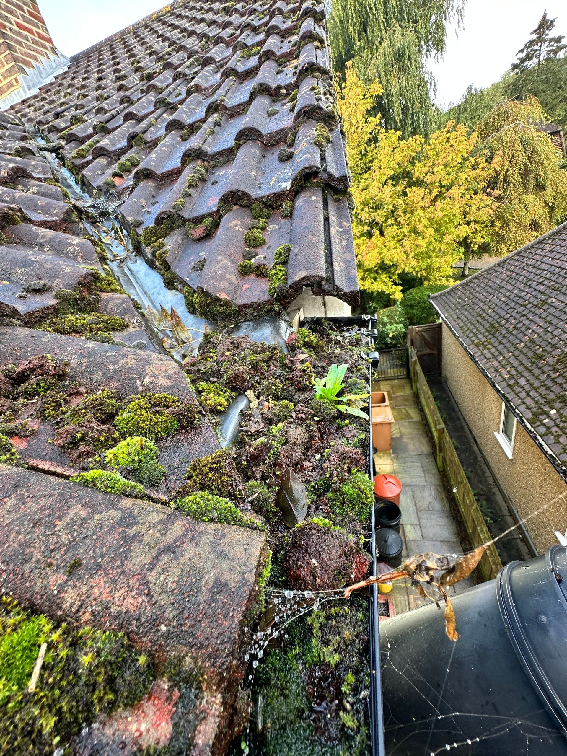 A gutter on the roof of a house with moss growing on it.