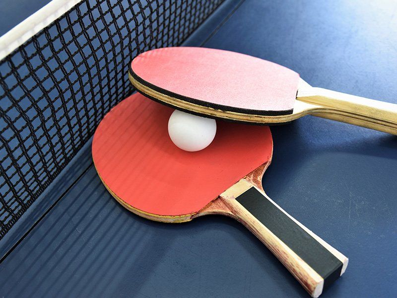 Ping Pong — Waite Park, MN — Total Recreation