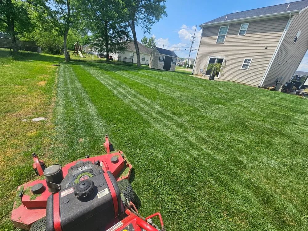 A red lawnmower cuts grass in a yard on a sunny day, creating striped patterns. Houses in the background.