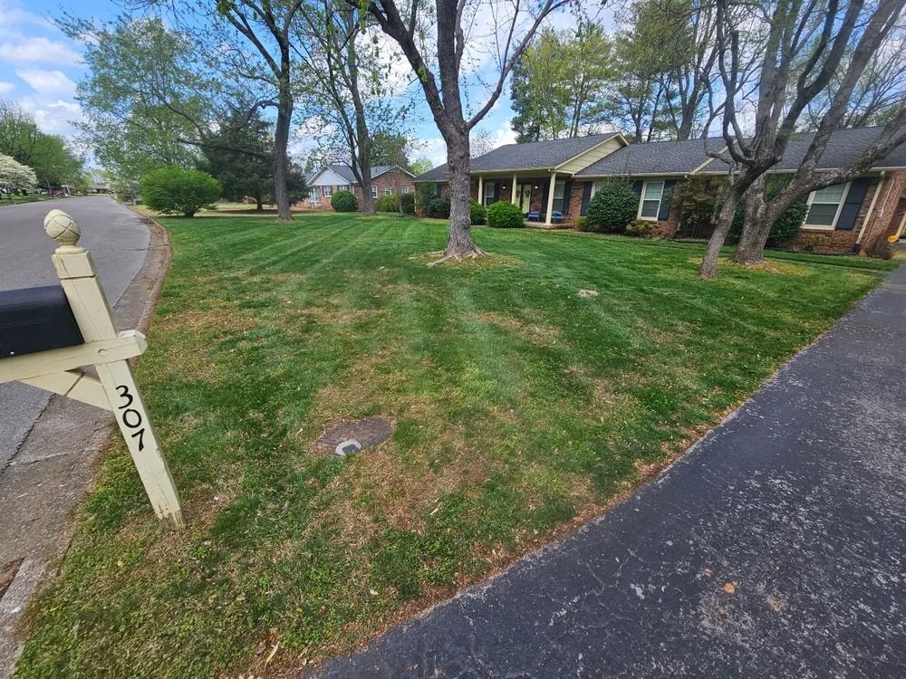 Lawn and house at address 307; a mailbox stands in front.