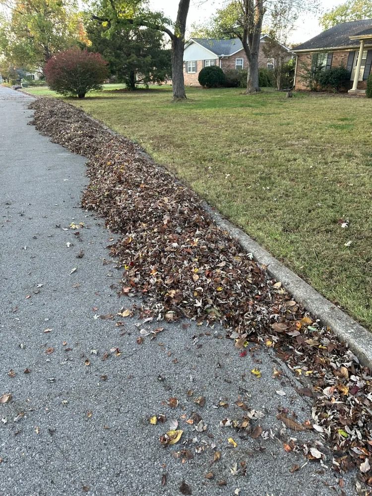 A row of fallen leaves piled along a paved road's edge, near green grass and houses.
