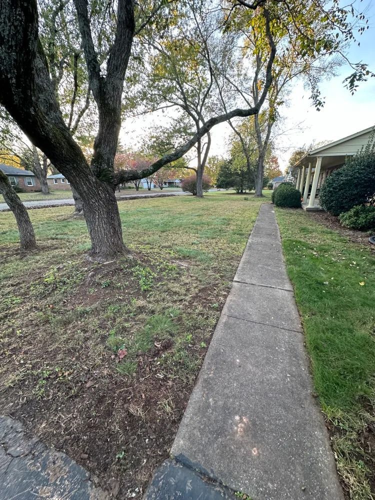 A sidewalk leading through a yard with trees, grass, and a house on the right.