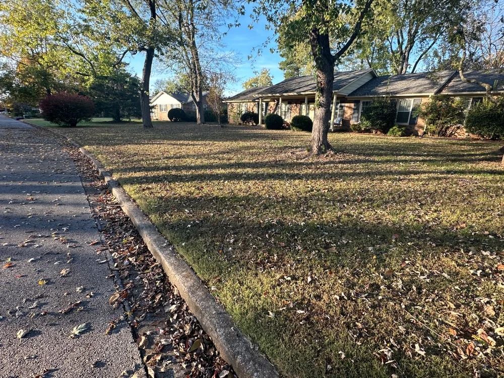 A house with brown grass and trees. Fallen leaves on the grass and curb. Sunny day.