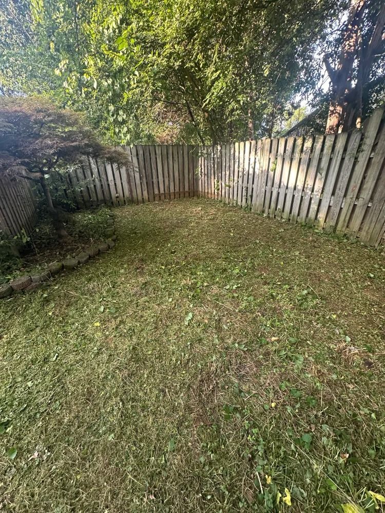 A grassy, fenced-in backyard with trees and a wooden fence under a sunny sky.