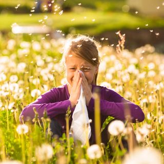 Young girl sneezing in field of flowers