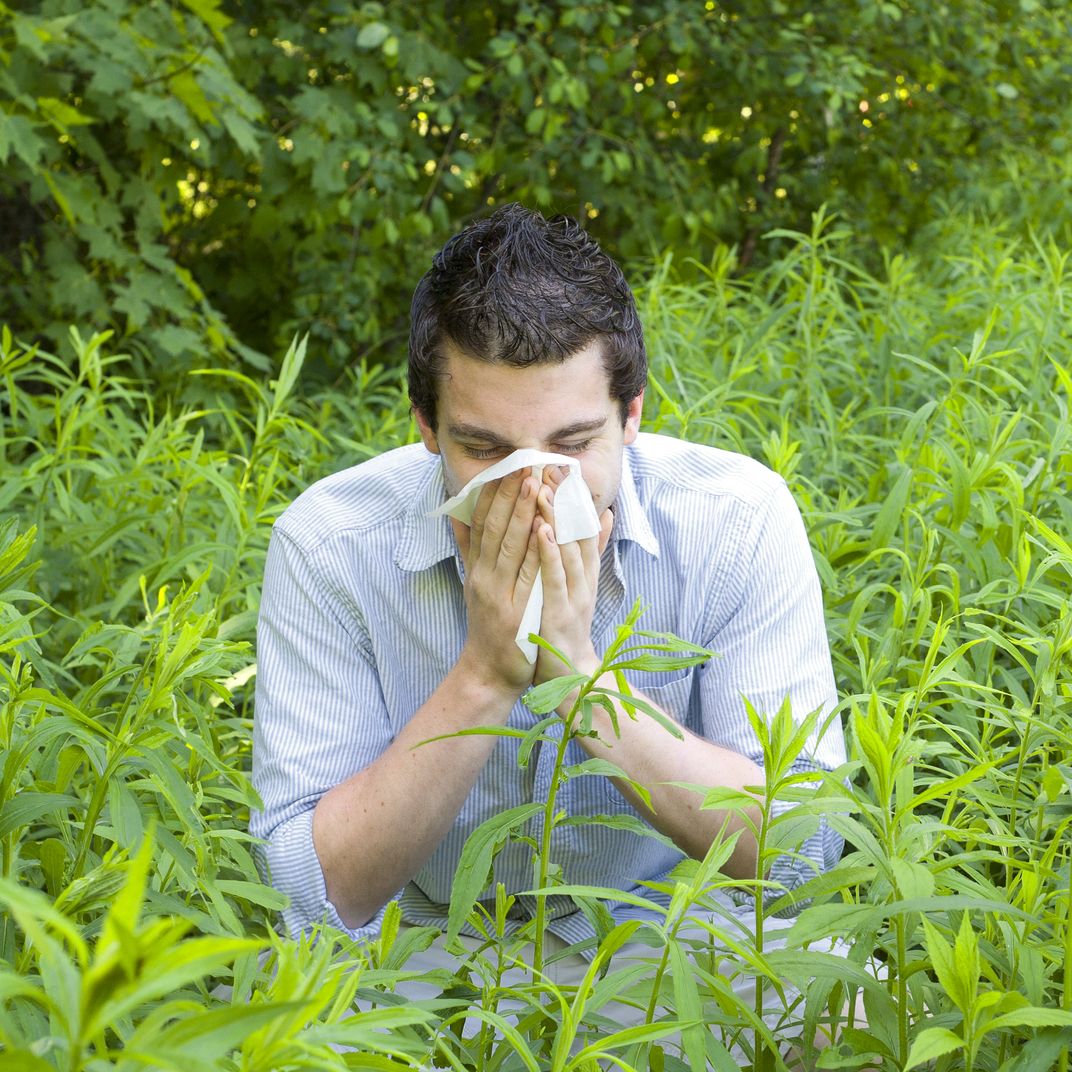 Man sneezing in field of plants