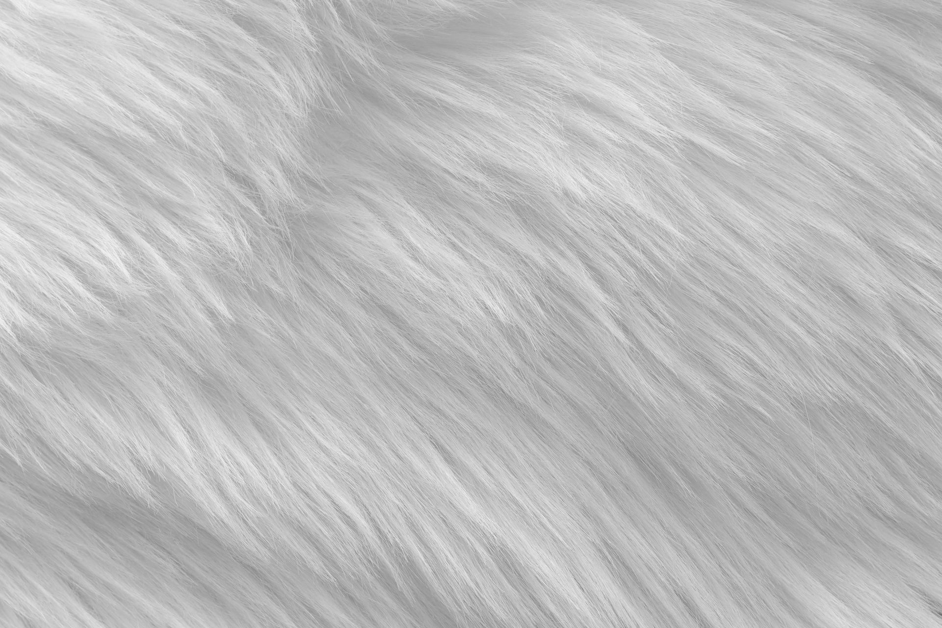 Plush Carpet | Watervliet, MI | Mr. Clean's Cleaning and Restoration