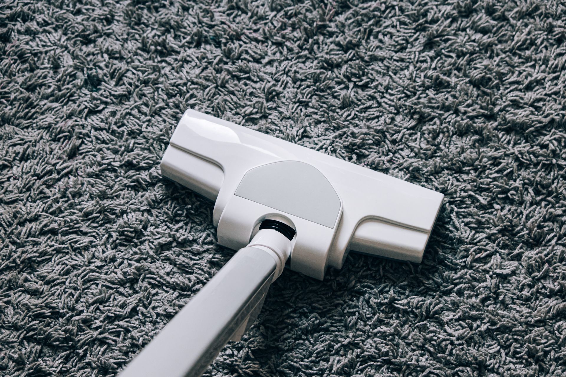 A vacuum cleaner brush on top of a plush, gray carpet.