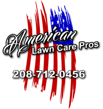 American Lawn Care Pros