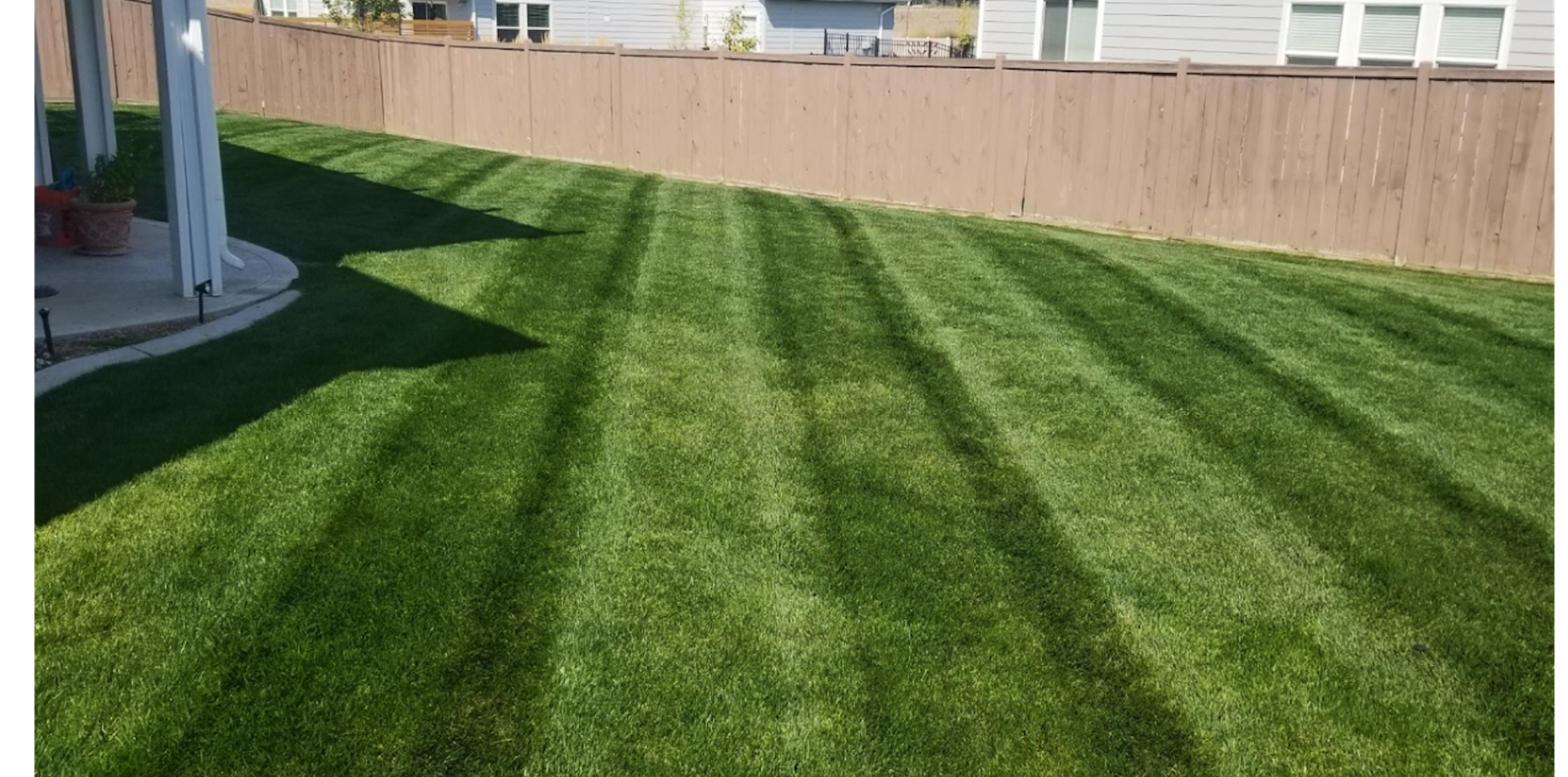 Freshly Mowed Lawn