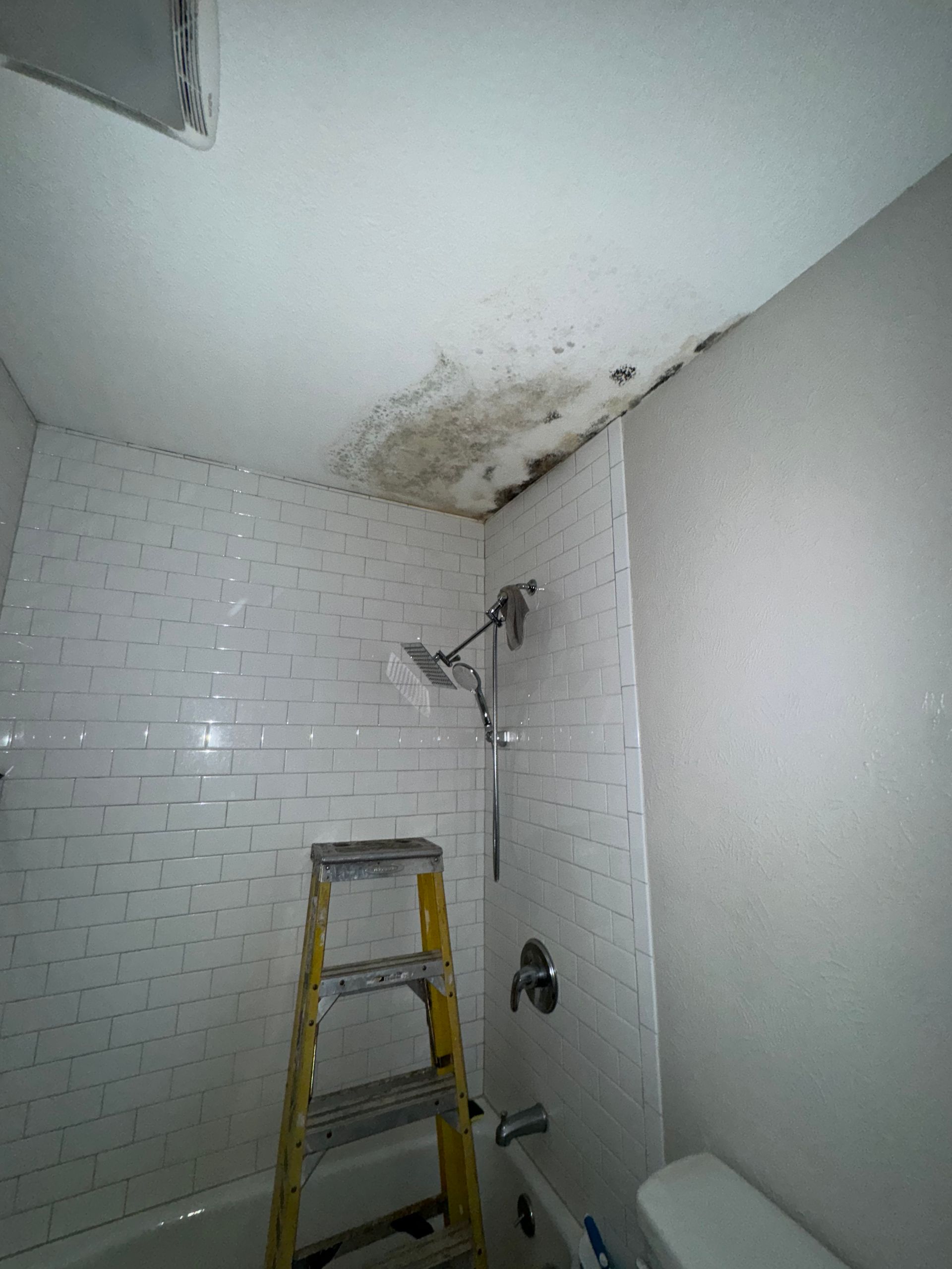 A bathroom with a ladder , toilet , shower and bathtub.