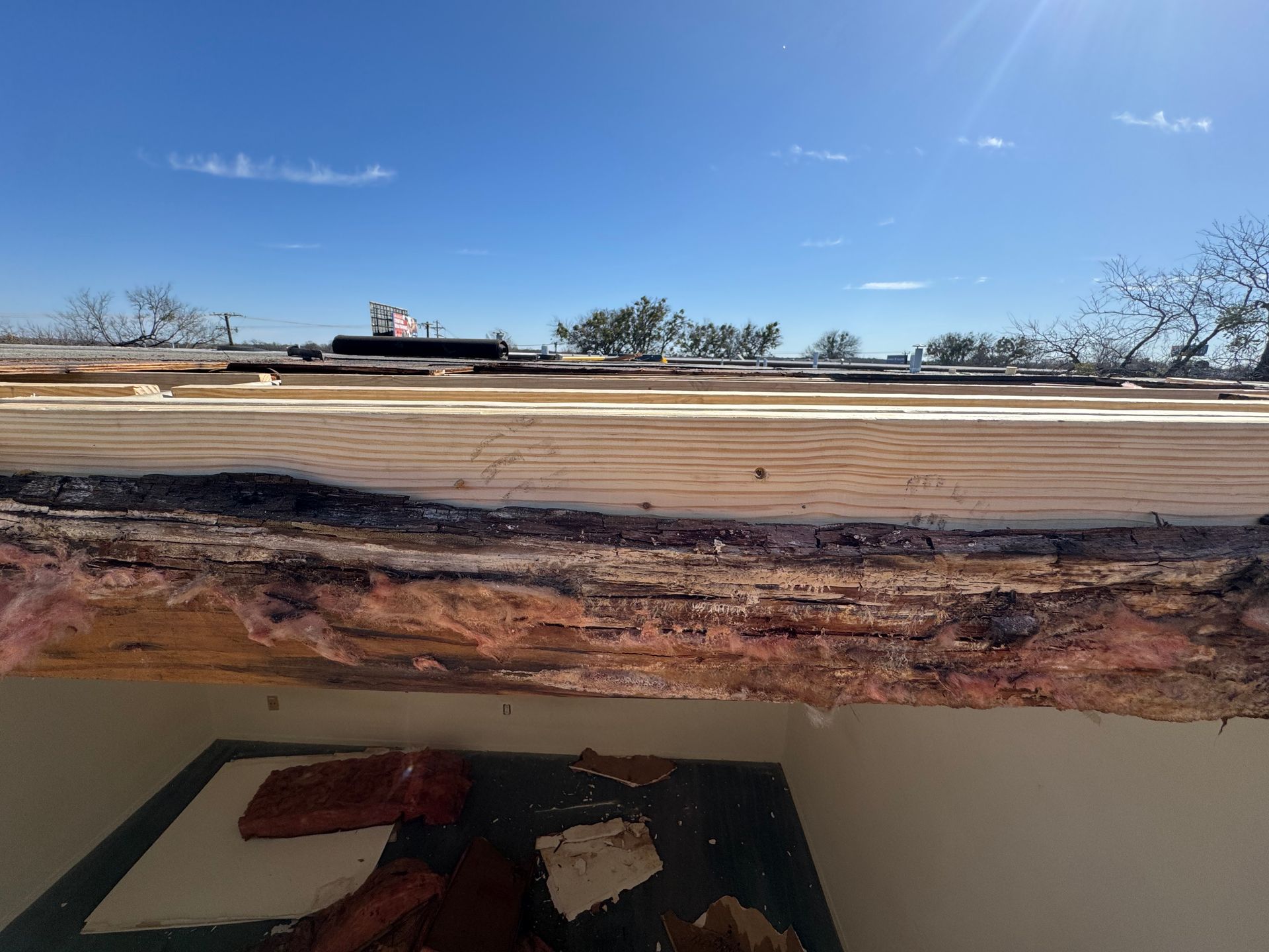 A close up of a piece of wood with a blue sky in the background.