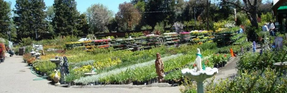 Flower Garden — San Jose, CA — Central Wholesale Nursery