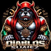 american bully venta logo