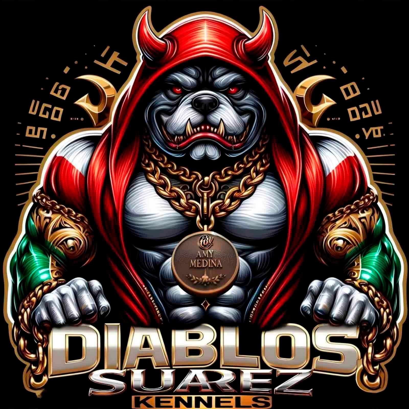 american bully venta logo
