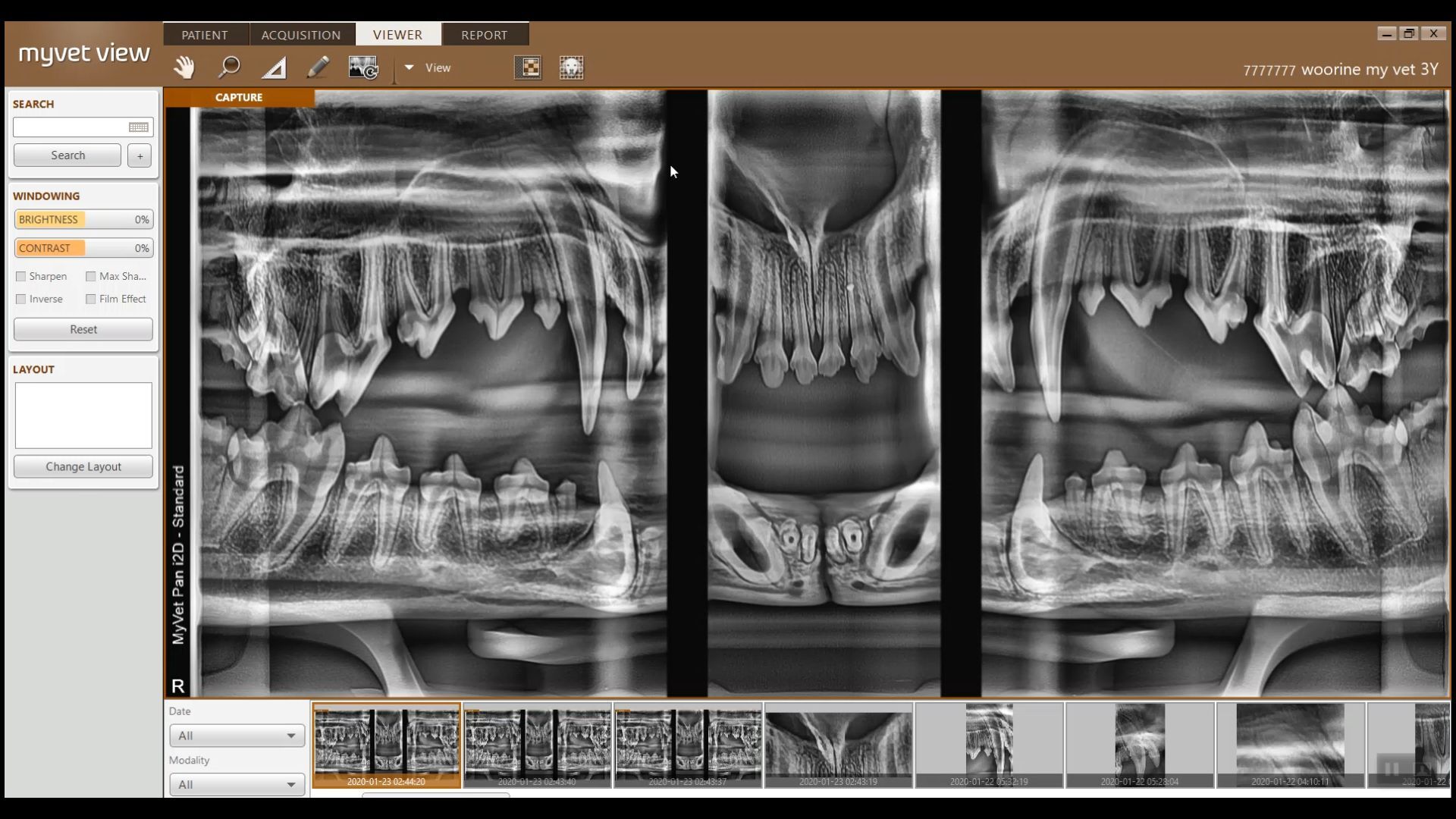 A computer screen shows a picture of a dog 's teeth.