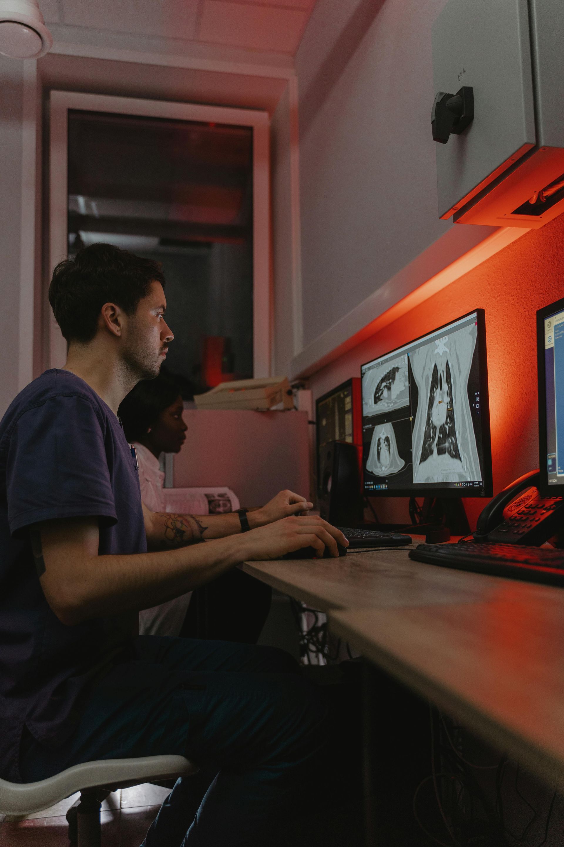 vet viewing x-rays on screen 