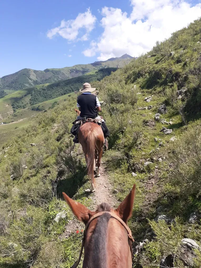 Una persona a caballo sigue un sendero a través de un paisaje montañoso.