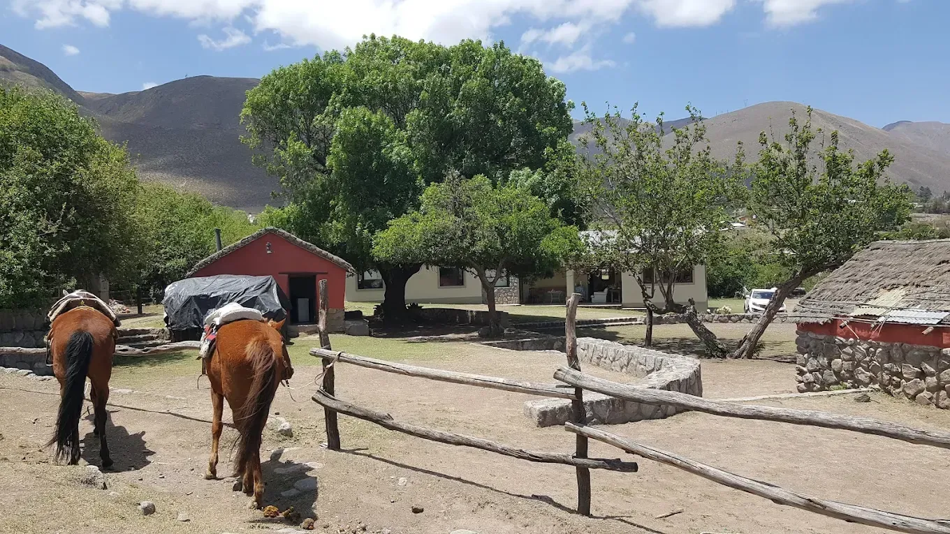 Dos caballos se encuentran cerca de una valla de madera, edificios y árboles en un entorno montañoso.