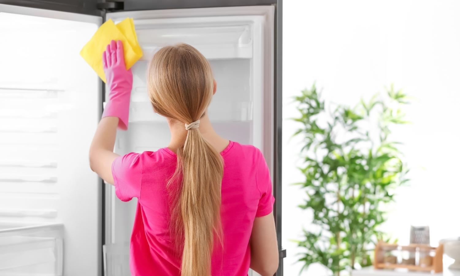Allymaids Cleaning
