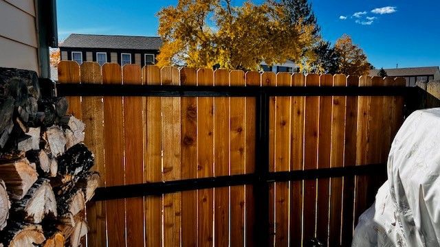 Double gate with steel frame — Greeley, CO — Fence Pros