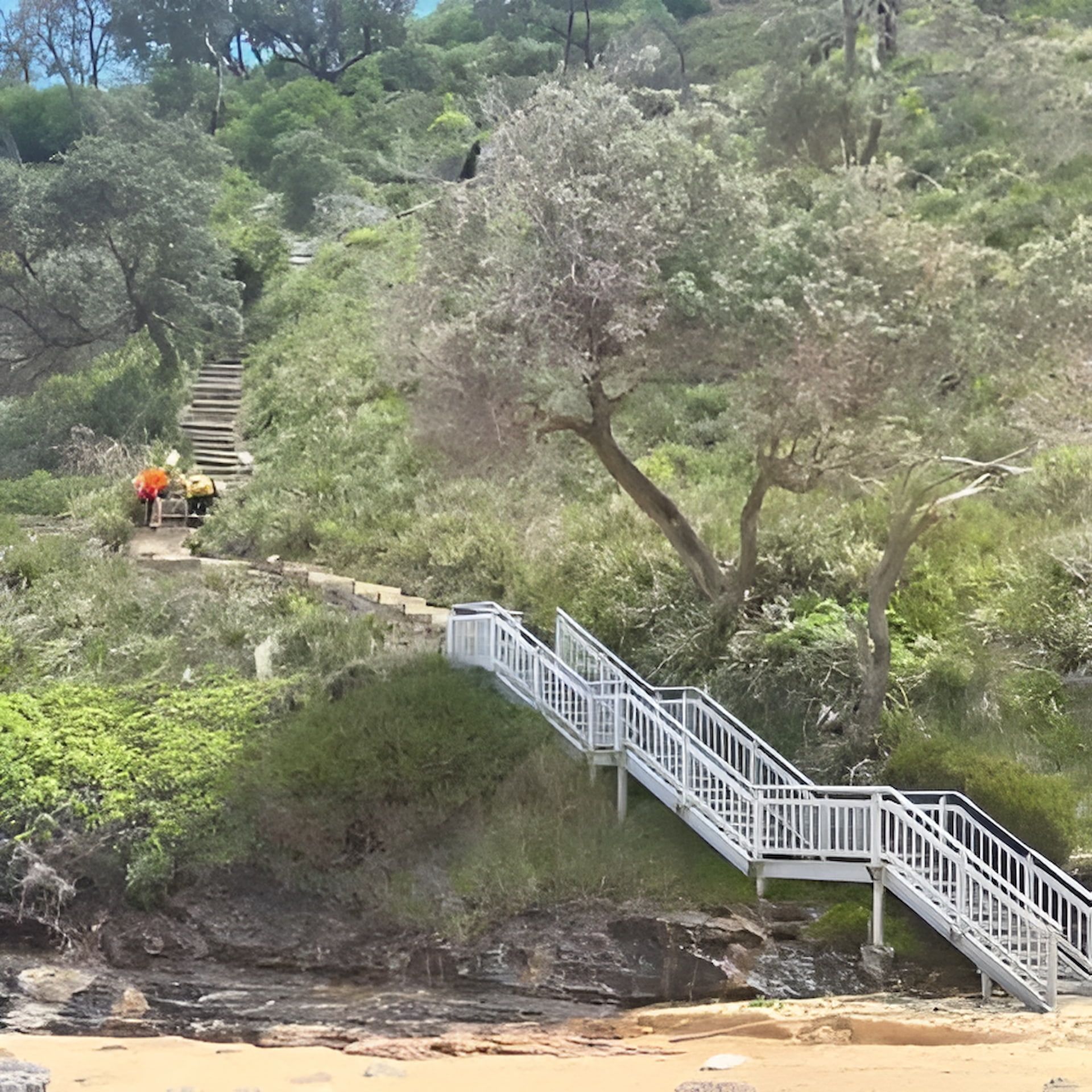 Staircase leading up a hill to a path. People are on the path. Green foliage and trees surround the stairs. — ALI Civil Pty Ltd in South in Nowra, NSW