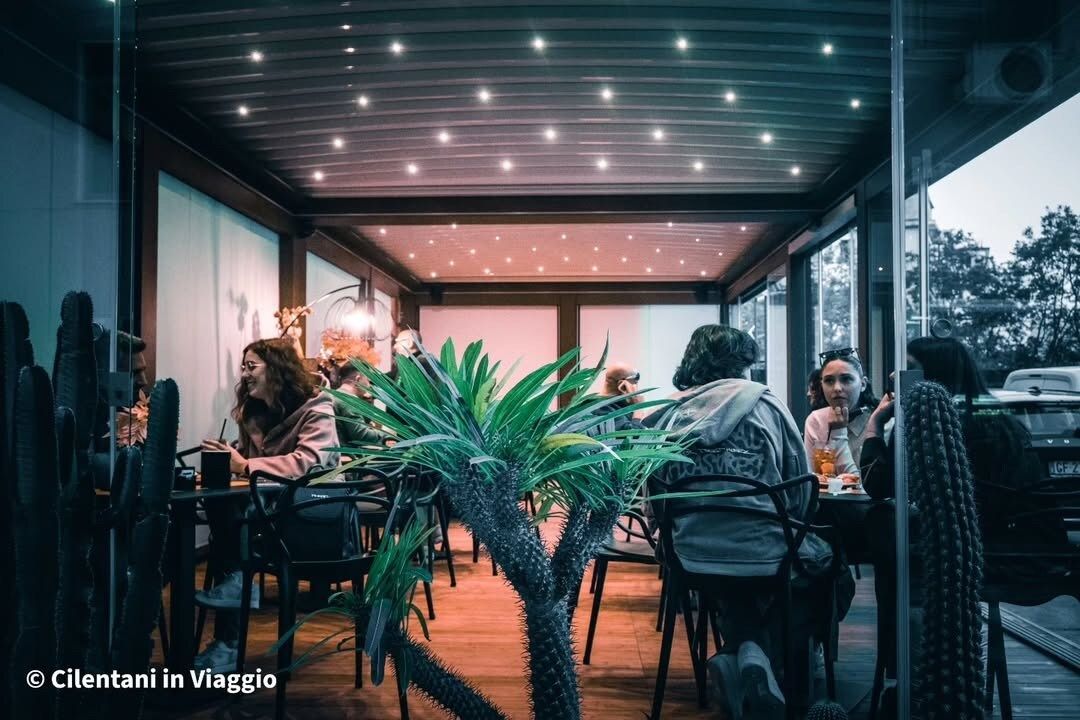 Patio con persone sedute ai tavoli, sotto luci a filo. Una grande pianta è in primo piano.