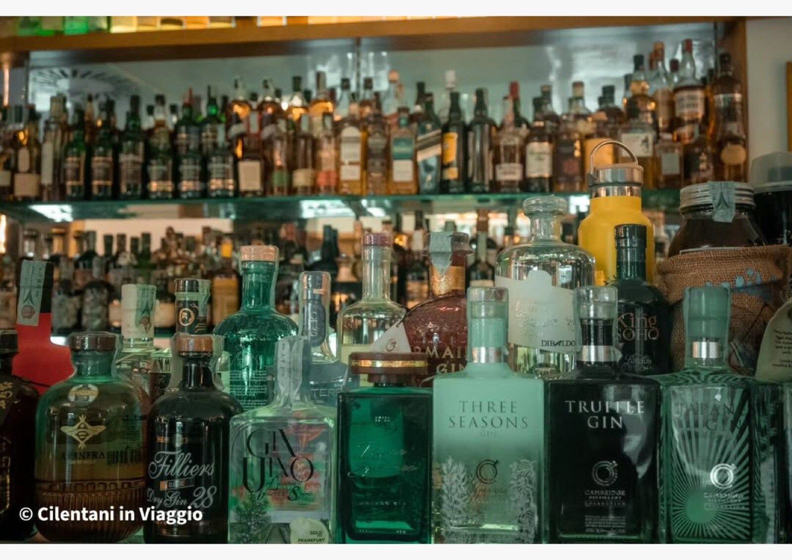 Scaffale del bar pieno di bottiglie di gin, tra cui bottiglie verdi, blu e trasparenti. Lo sfondo è sfocato.