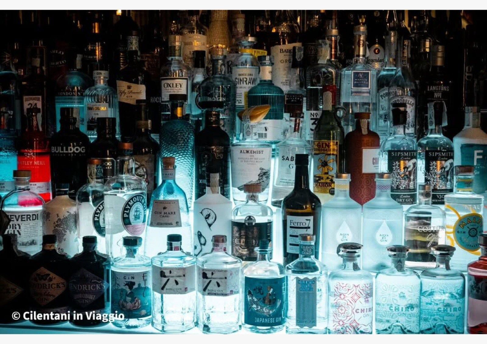 Bottiglie di varie marche di gin illuminate sugli scaffali del bar.