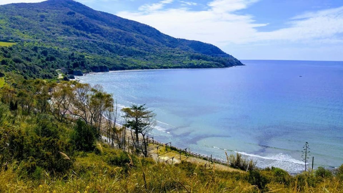 Baia azzurra con montagne sullo sfondo e vegetazione verde.