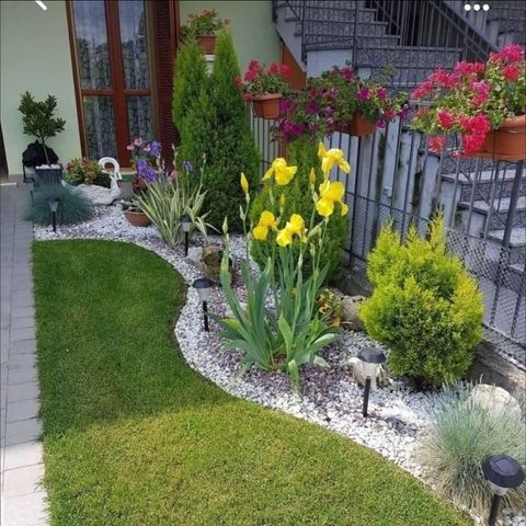 A garden with a lot of plants and flowers in front of a house